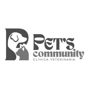 Mesa de trabajo 1 copia-100